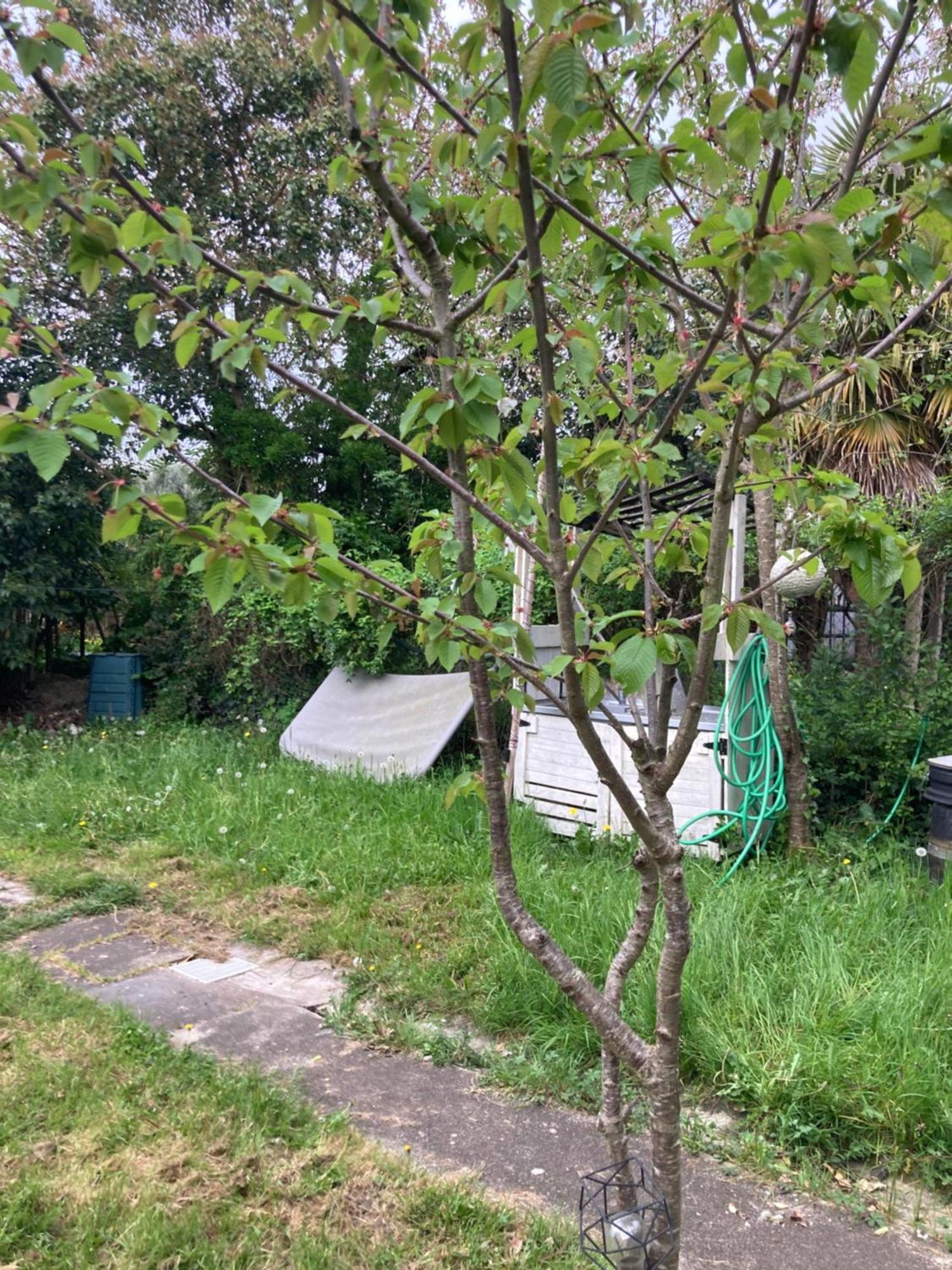 Maison De Campagne A La Ville Villeneuve-sur-Lot Exterior foto